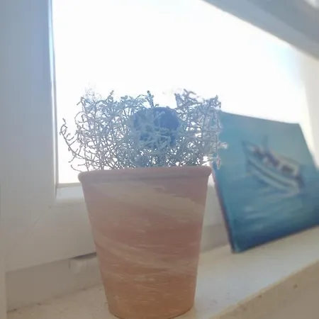 Sunny Attic With Balcony & Modern With Outdoor Area, No Balcony דירה טרוגיר